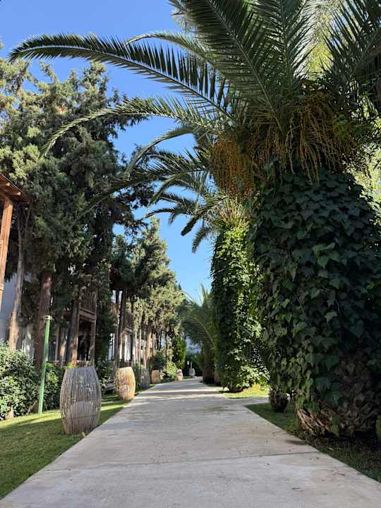 Außenansicht Very Chic Bodrum Adult Only