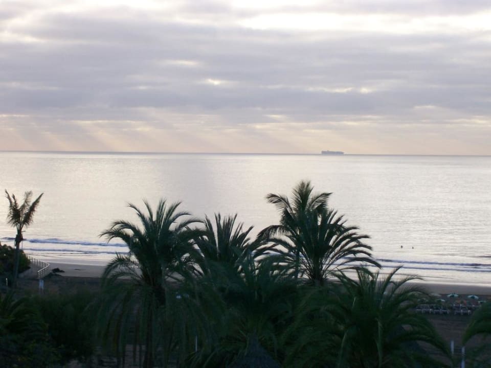 Strand am morgen Corallium Beach by Lopesan Hotels - Adults only