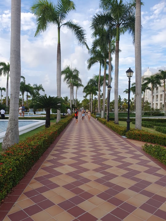 Gartenanlage Hotel Riu Palace Punta Cana