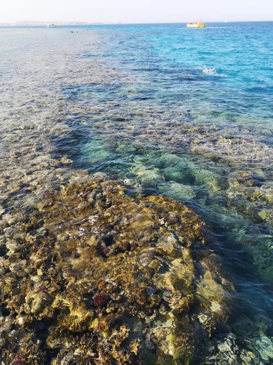 Strand Makadi Palace