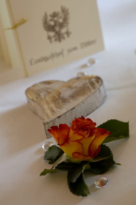 Restaurant Hotel & Restaurant Adler - BIO-zertifiziert