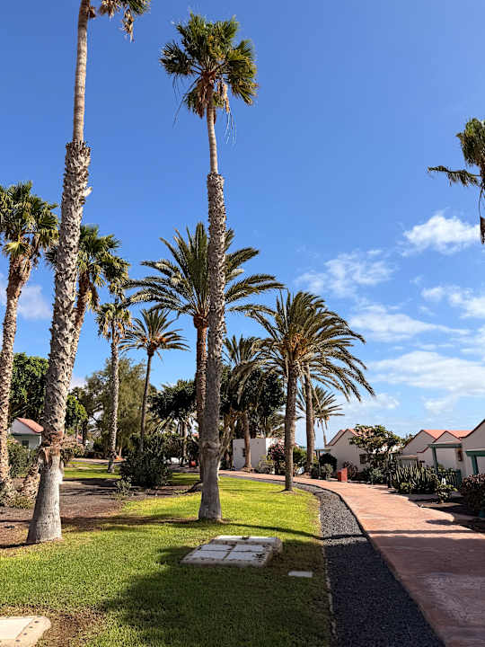 Gartenanlage Aldiana Club Fuerteventura