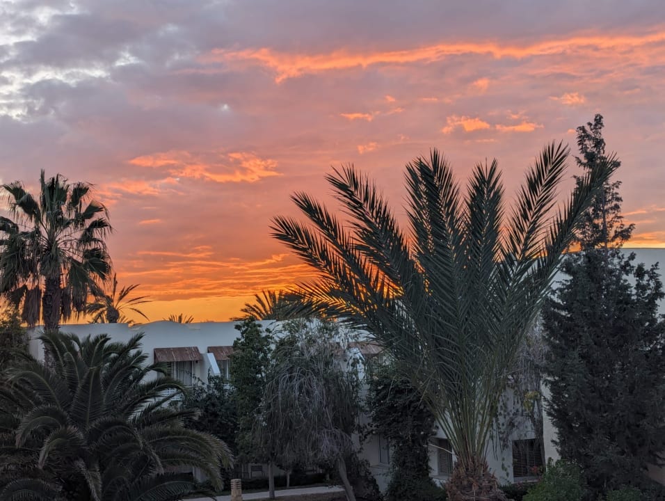 Ausblick TUI MAGIC LIFE Penelope Beach