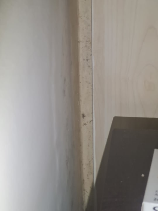 Zimmer Hotel Orfeus Park