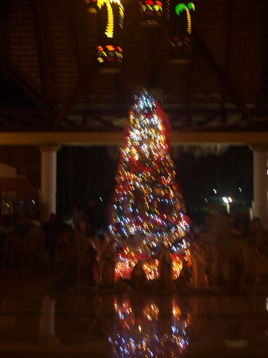 Weihnachtsvorbereitung in der Lobby VIK Hotel Arena Blanca