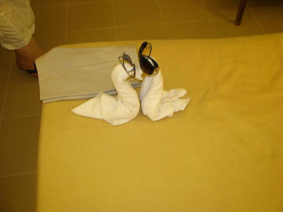 Sehr schöne Motive vom Zimmerpersonal Beach Albatros Resort