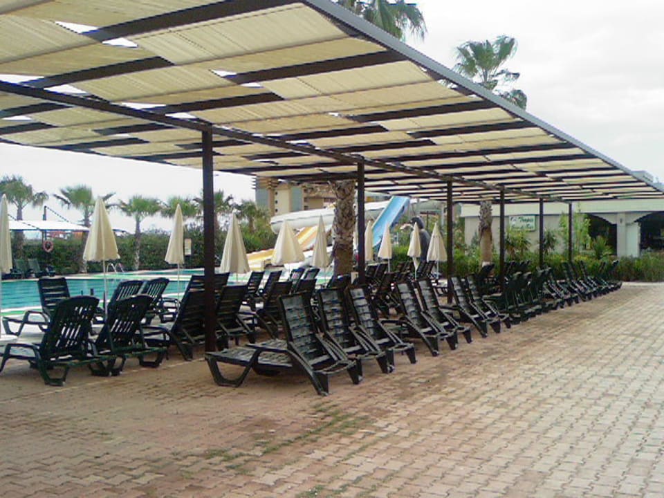 Pool Hane Family Resort