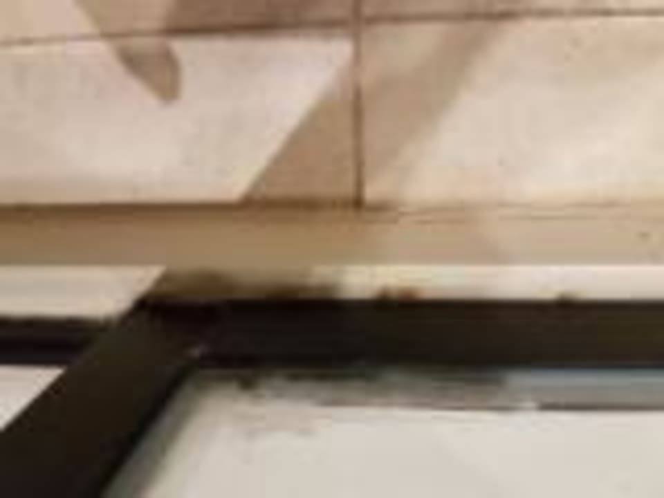 Zimmer Dreams Jardín Tropical