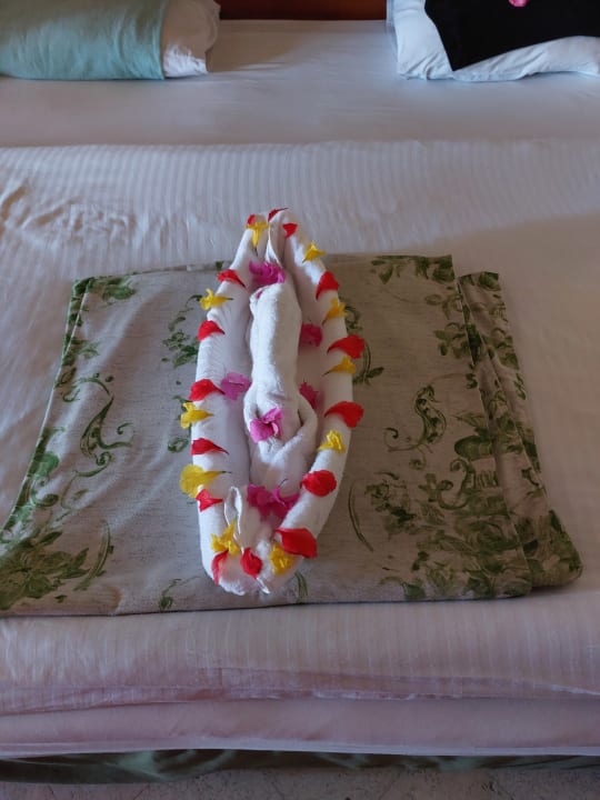 Zimmer Ghazala Gardens