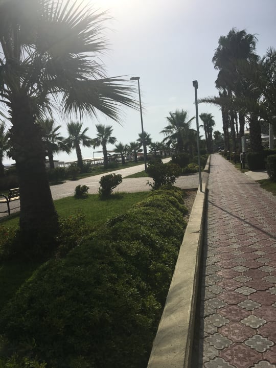 Gartenanlage Kamelya Collection Selin Hotel