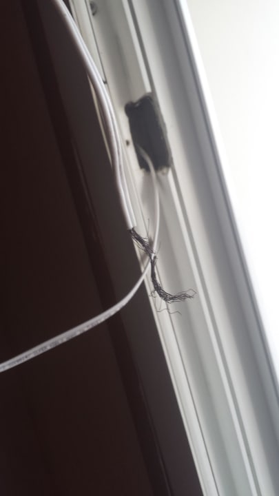 Kommt aus der Balkontür raus Numa Konaktepe