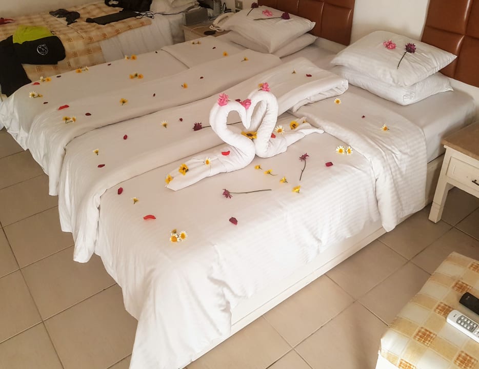 Zimmer Giftun Azur Resort