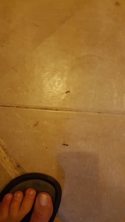 Im Schlafraum Three Corners Sea Beach Resort