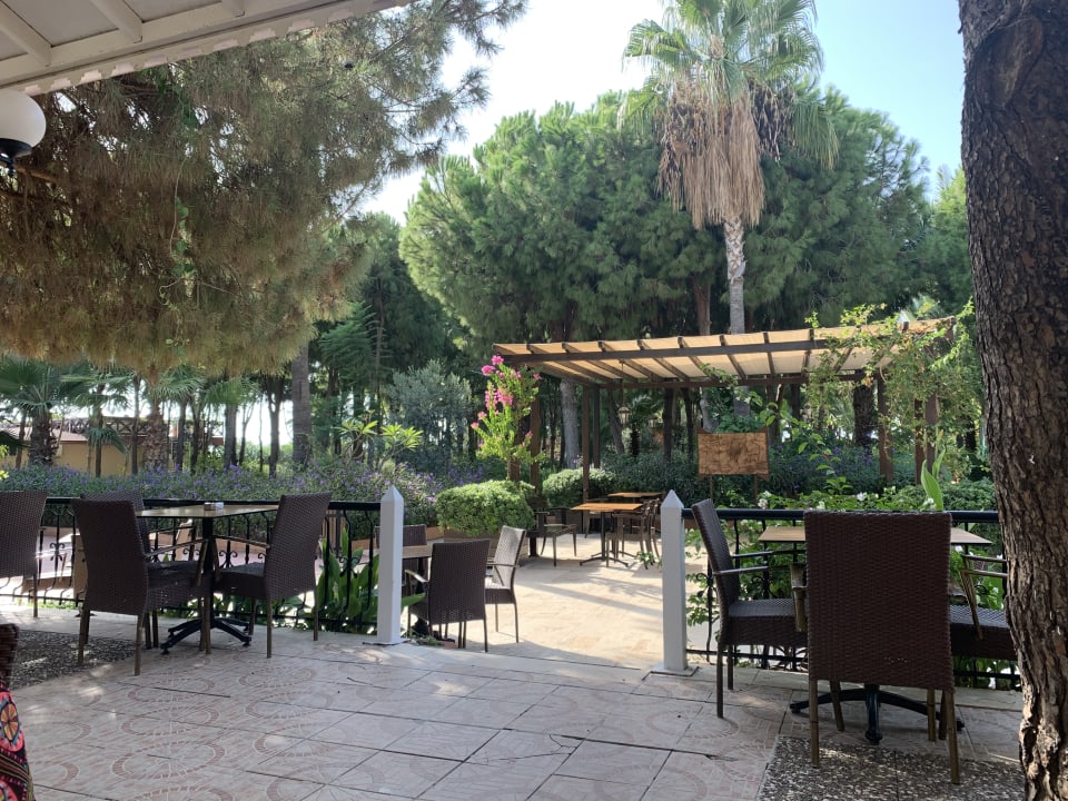 Gastro Club Turtas Beach Hotel