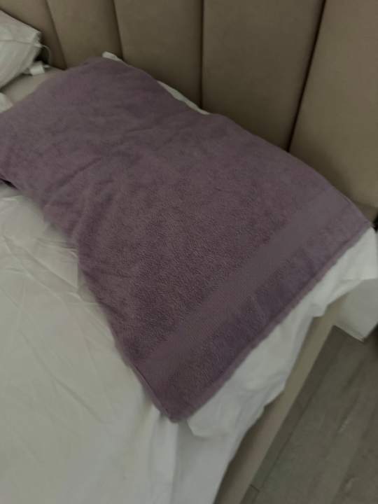 Zimmer Kamelia Resort