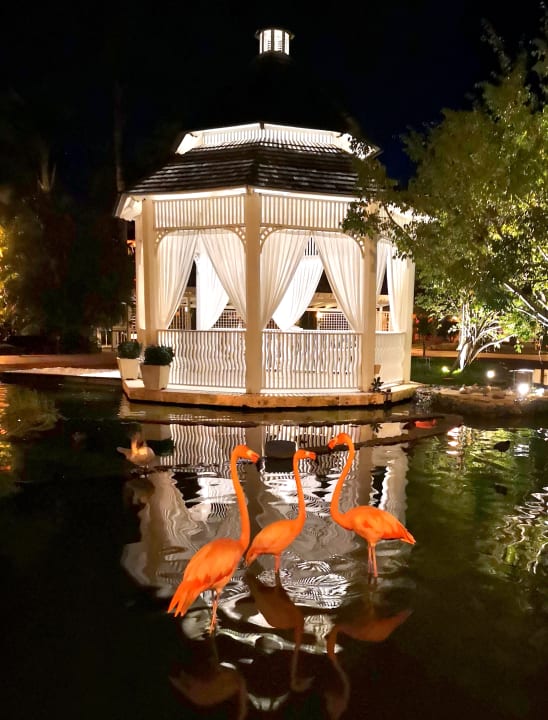 Gartenanlage Iberostar Selection Hacienda Dominicus
