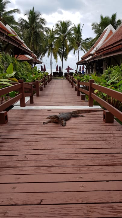 Gartenanlage Khaolak Laguna Resort