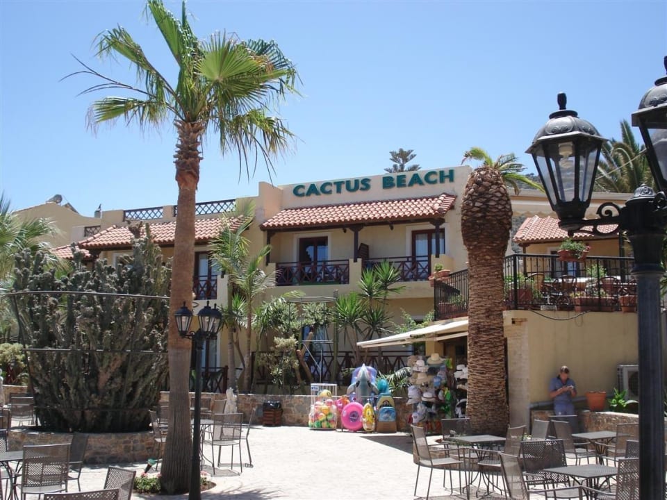 Cactus Beach Cactus Beach