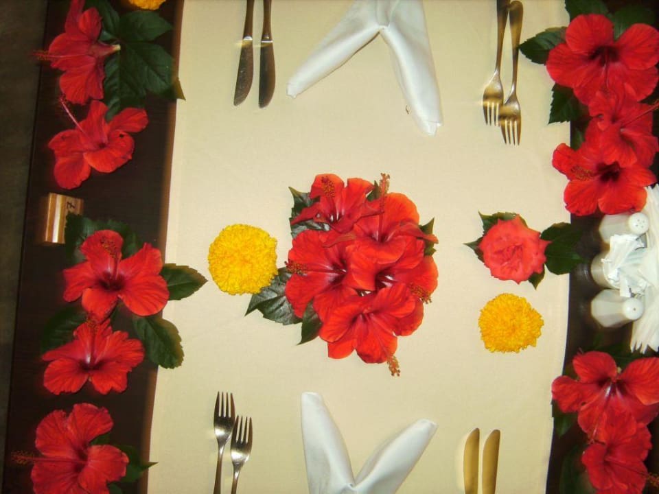 Tisch Hotel Defne Star