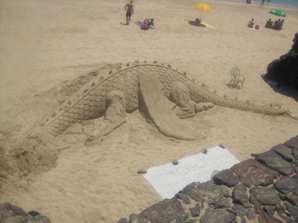 Drachen Occidental Jandía Playa