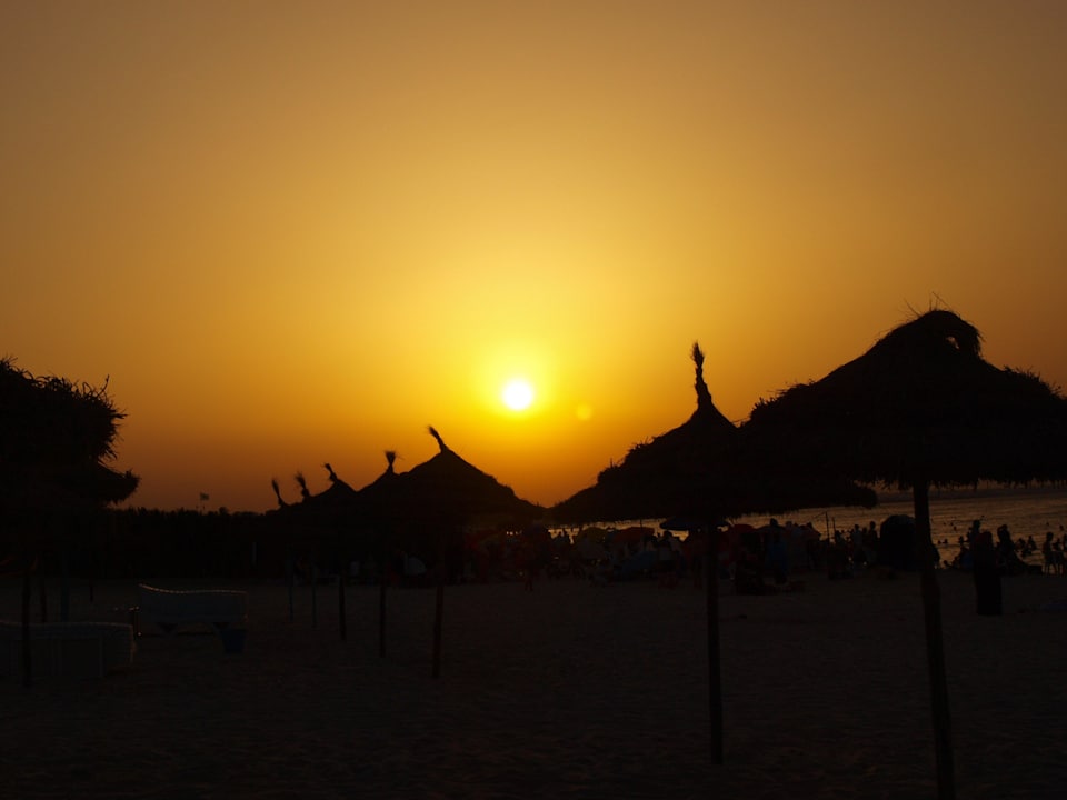 ... Hotel Amir Palace