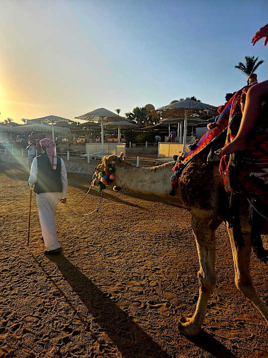 Strand Grand Waterworld Makadi