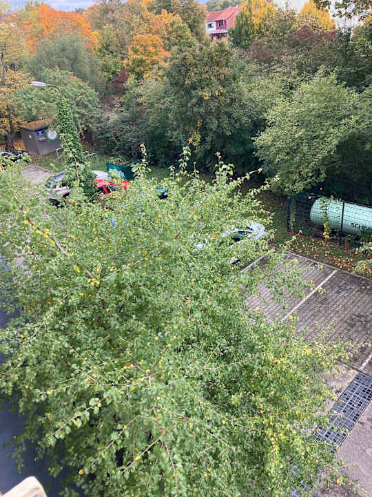 Ausblick Best Western Hotel Windorf