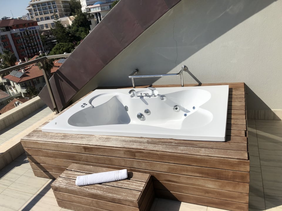 Zimmer Acanthus Cennet Barut Collection