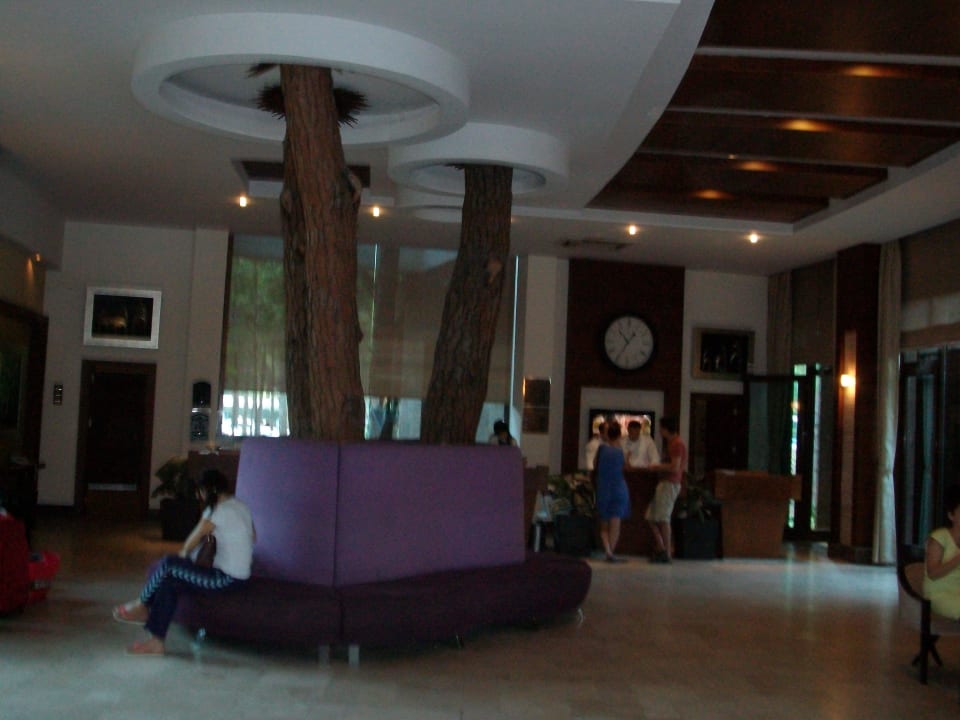 Rezeption um Bäume gebaut Voyage Belek Golf & Spa