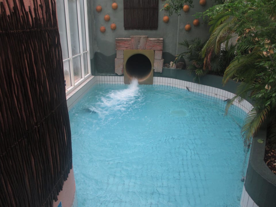 Schwimmbad Center Parcs Les Ardennes