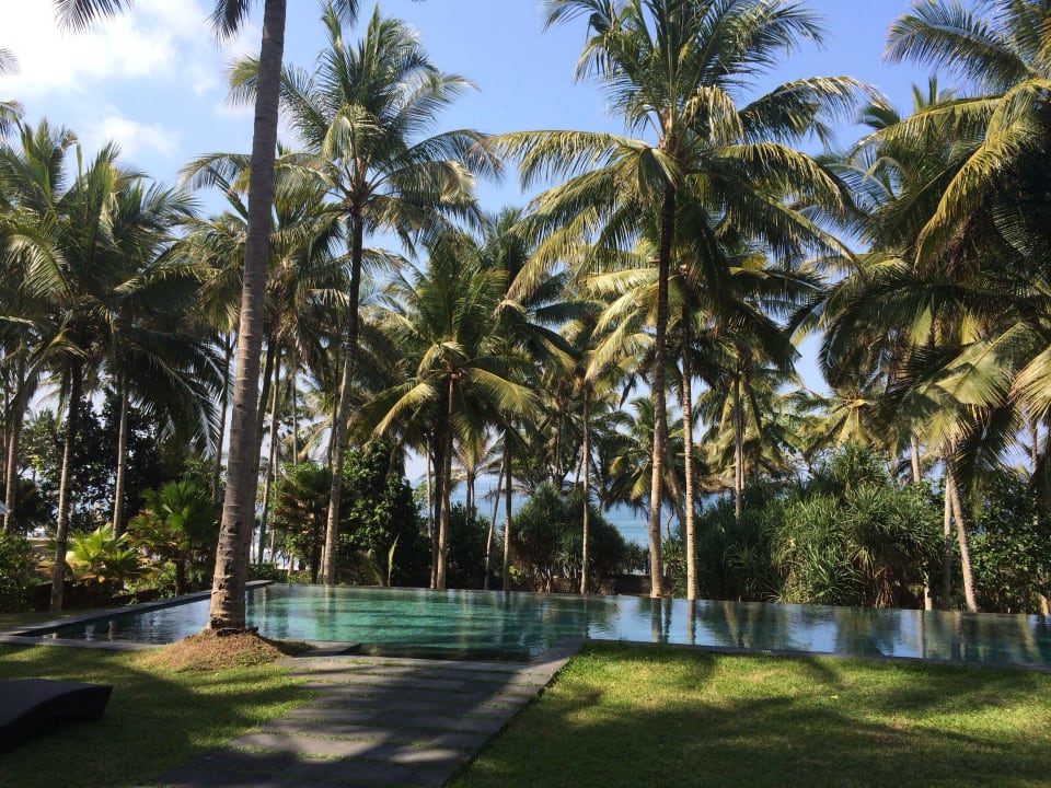 20m Infinity-Pool der Residence. Kelapa Retreat & Spa