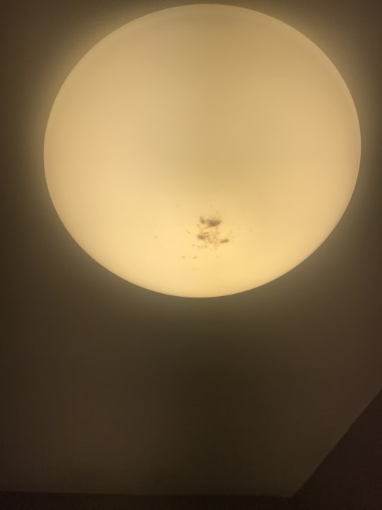 Zimmer Pierre&Vacances Premium Résidence Les Calanques des Issambres