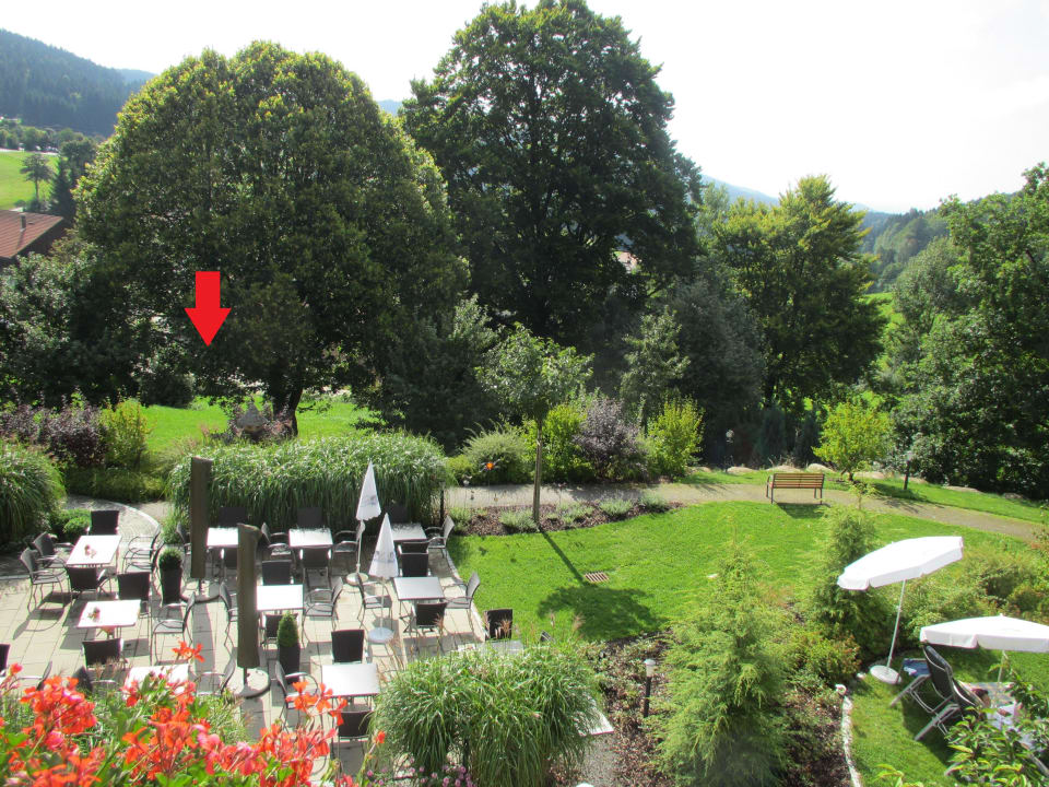 Roter Pfiel kennzeichnet Straße Hotel Reinerhof