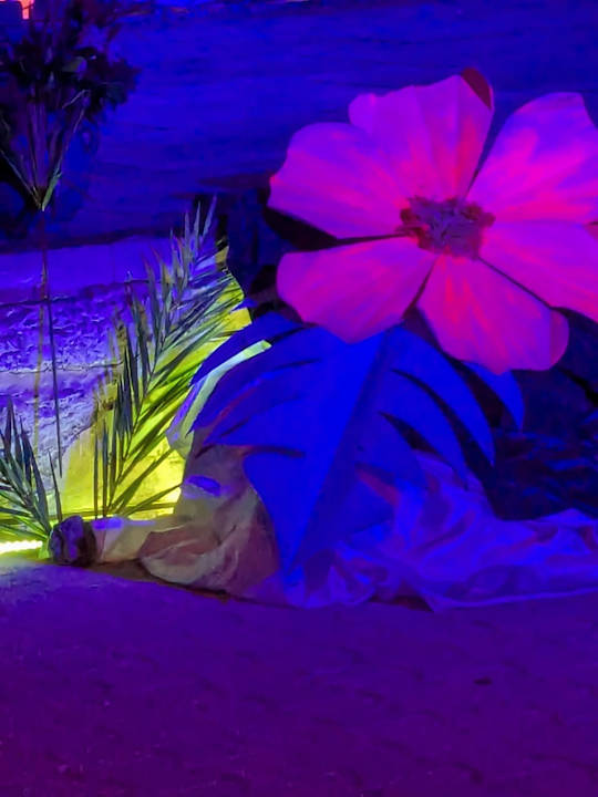 Sport & Freizeit Calimera One Resort Jockey