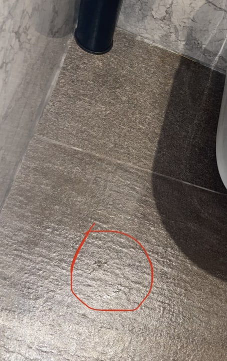 Zimmer Mylome Luxury Hotel & Resort