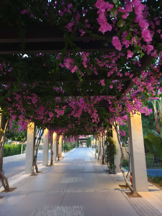 Gartenanlage Astir Odysseus Kos Resort & Spa