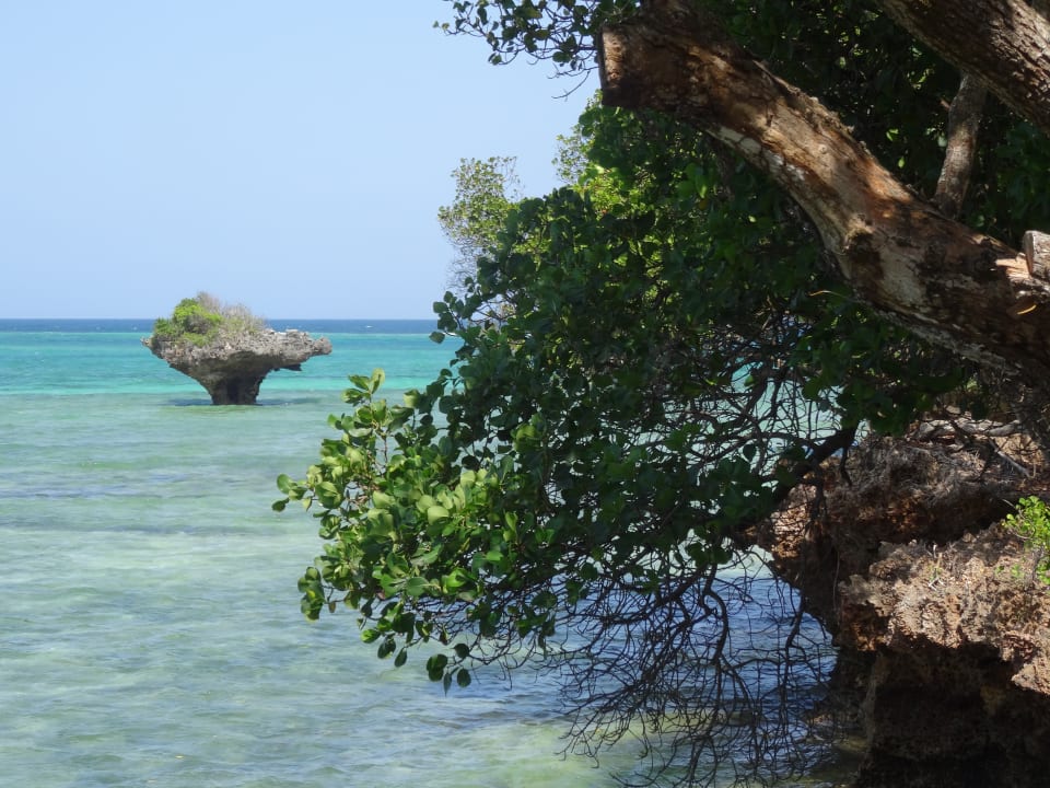 Ausblick The Sands At Chale Island
