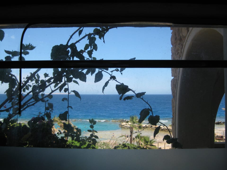 Blick von der Dusche Pickalbatros Citadel Resort