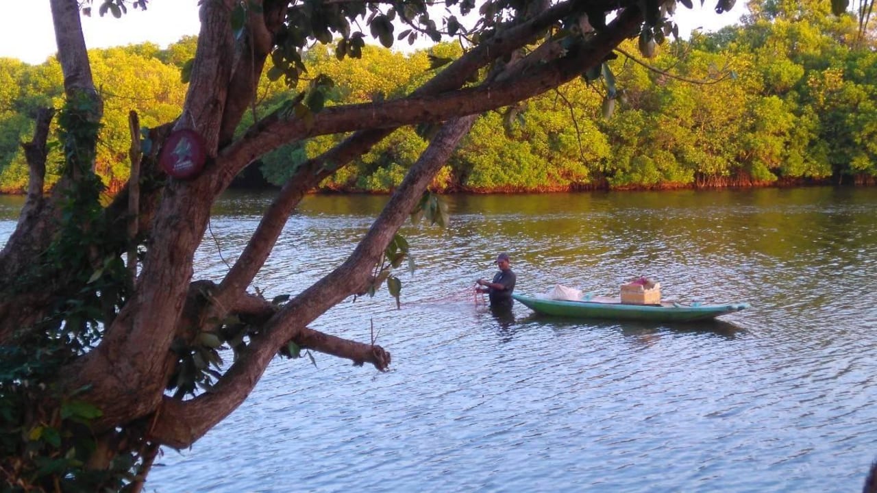 Fischer in der Lagune Club Palm Bay