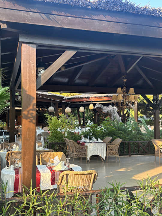 Gastro Delphin BE Grand