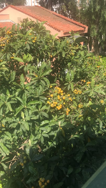 Sonstiges Limak Limra Hotel & Resort