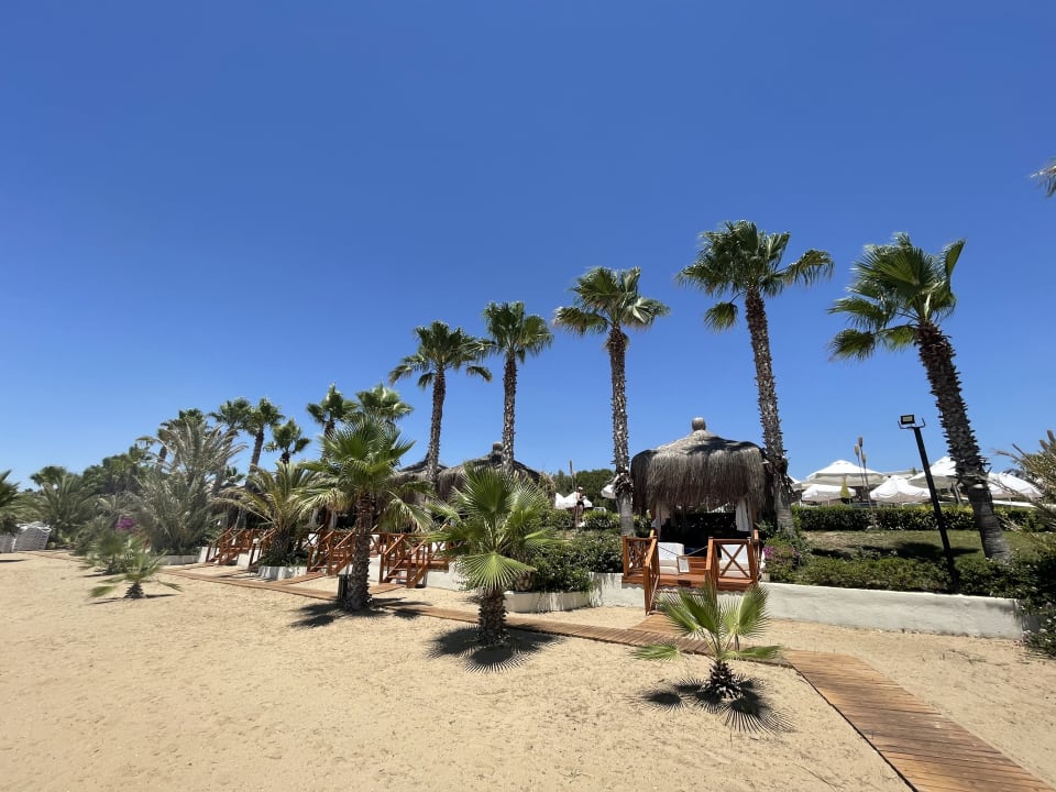 Strand Paloma Oceana