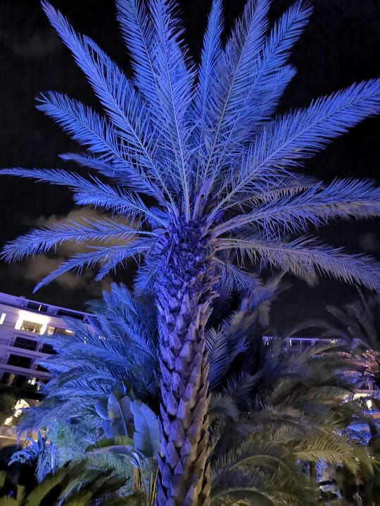 Gartenanlage Maxx Royal Belek Golf Resort