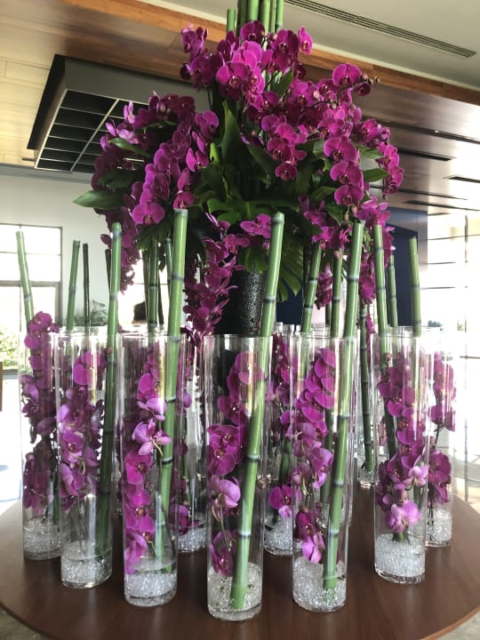 Sonstiges Acanthus Cennet Barut Collection