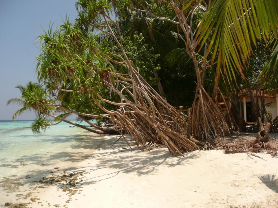 Traumhafter Strand Vilamendhoo Island Resort & Spa