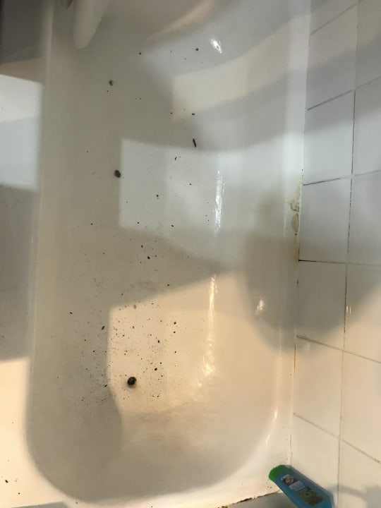 Zimmer BelleVue Dominican Bay