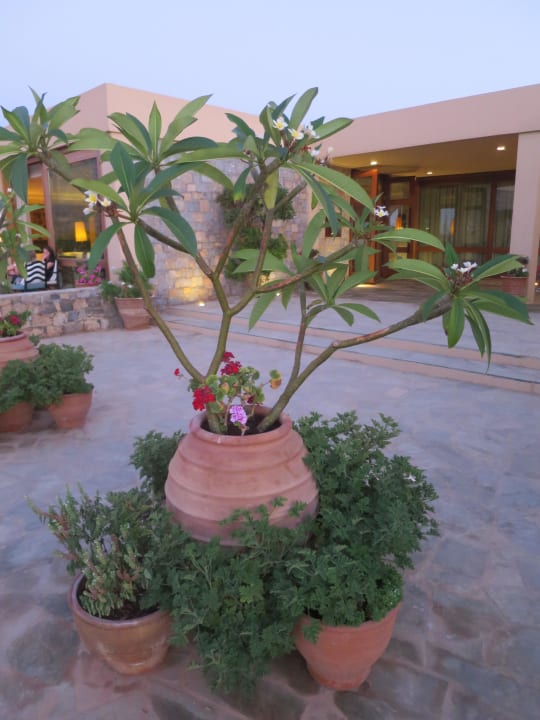 Garten Kernos Beach Hotel & Bungalows