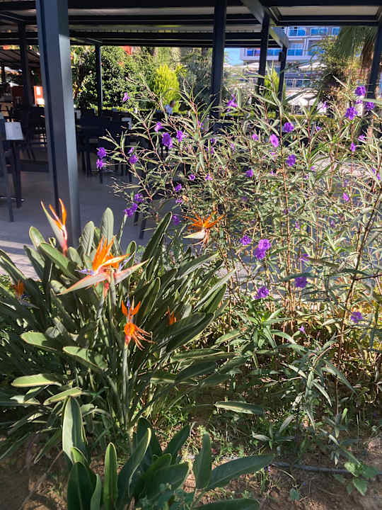 Außenansicht Annabella Diamond Hotel & Spa