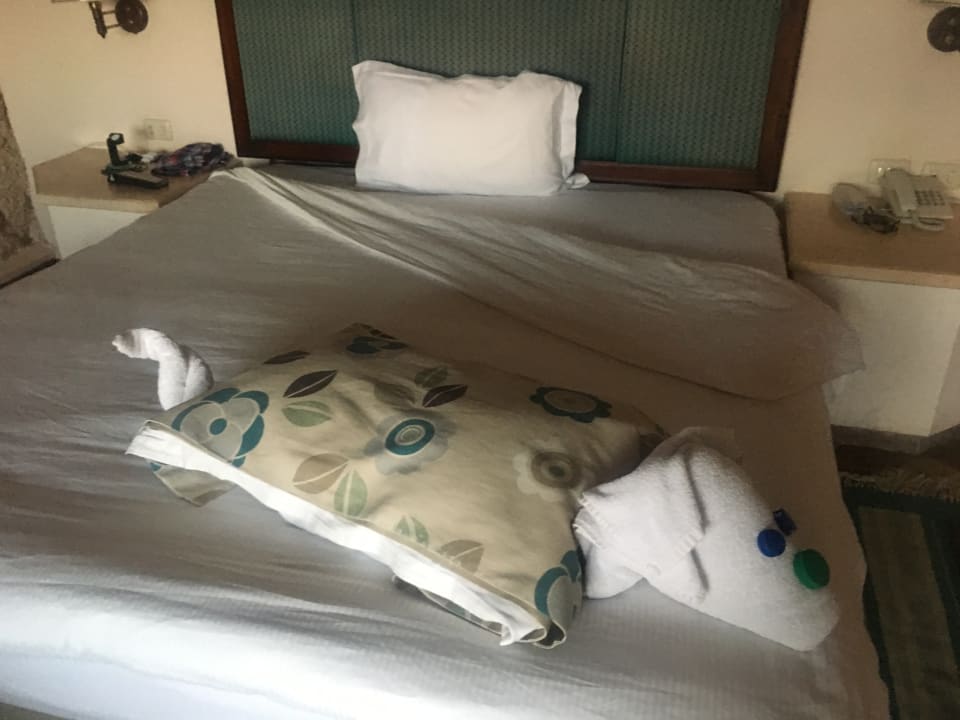 Zimmer Pickalbatros Citadel Resort