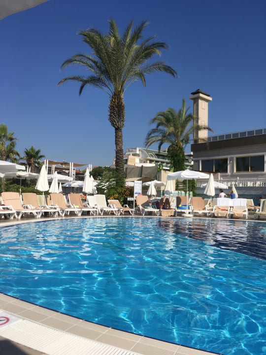 Pool Aydinbey Famous Resort